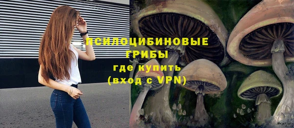 спайс Белокуриха