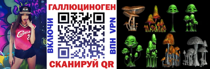 Галлюциногенные грибы Magic Shrooms  Абакан 